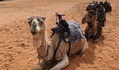 Tour de 4 Dias pelo Deserto de Marrocos saindo de Marraquexe — 4