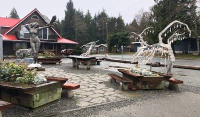 Vancouver para Nanaimo, Ucluelet, Tofino Tour Privado de 2 Dias pela Cidade Portuária — 5