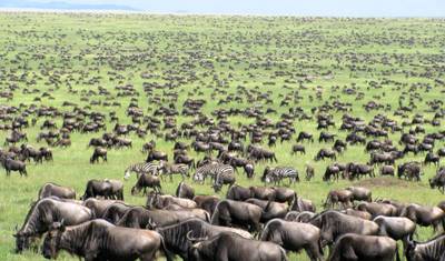 Férias de Safári Fotográfico de 5 Dias em Masai Mara — 3