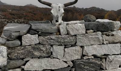 Trekking po Pętli Langtang - 17 Dni — 4