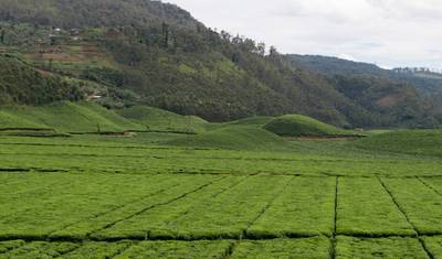 7 Days Rwanda Hiking Trail (Private) — 2
