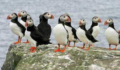 South Iceland Summer Express - 3 days — 2