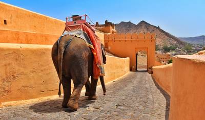 6 Days Golden Triangle Tour with Amritsar from Delhi — 4