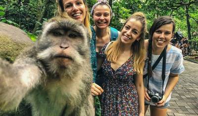 Experiência de Vida Selvagem em Bali: Tour de 3 Dias (Privado e Tudo Incluído) — 4