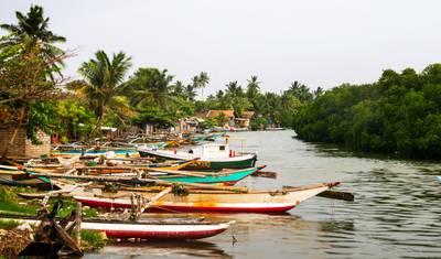 Sri Lanka North East & Beach - 10 Days — 3