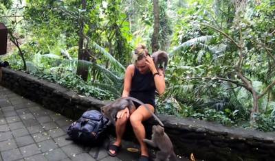 Descubra a Maravilha Natural de Bali em 6 Dias: Templos, Terraços de Arroz, Floresta dos Macacos e Aventura nas Cachoeiras — 2
