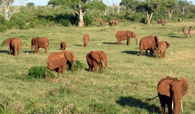 Thula Thula Game Reserve – 3 dni/2 noce — 2
