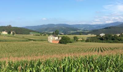 Camino de Santiago — 3