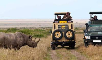 Escala no Aeroporto de Nairobi: Safari de 4 horas no Parque Nacional de Nairobi — 2