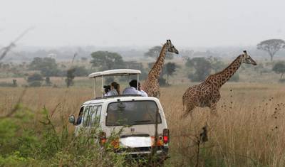 Escala no Aeroporto de Nairobi: Safari de 4 horas no Parque Nacional de Nairobi — 5