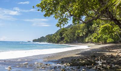 Costa Rica: Um Mundo de Natureza com o Parque Nacional Tortuguero, Vulcão Arenal e Parque Nacional Manuel Antonio (2026) — 5