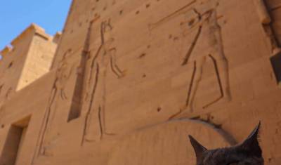 Passeios no Cairo e Cruzeiro no Nilo - Voos Internos Incluídos — 4