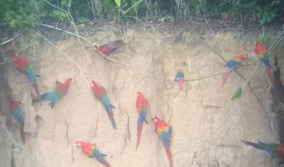 Crossing the Andes and the Amazon — 5
