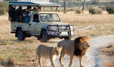 16 Day Botswana Pioneer (Camping) — 3
