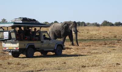 16 Day Botswana Pioneer (Camping) — 4