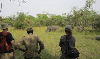 12 Day Kenya & Tanzania Pioneer (Camping) — 2