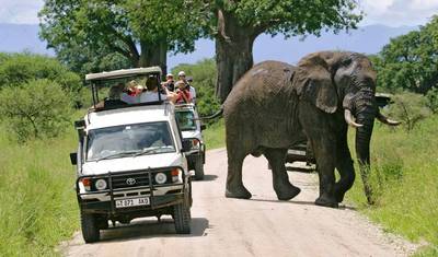 Safari Privado de Luxo de 9 Dias visitando todos os Parques Nacionais — 3