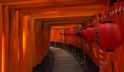 JAPAN IN-DEPTH CHERRY BLOSSOM TOUR — 3