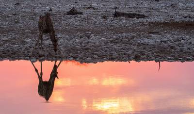 Kruger, Cataratas e Zimbábue: Piscinas Minerais e Parques Nacionais — 2