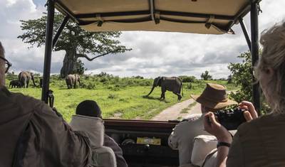 14 Dias de Safari Clássico para Descobrir a Vida Selvagem do Quênia — 2