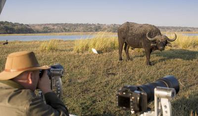 14 Dias de Safari Clássico para Descobrir a Vida Selvagem do Quênia — 4