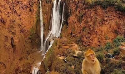 From Marrakech: Ouzoud Waterfalls Guided Hike and Boat Trip — 2