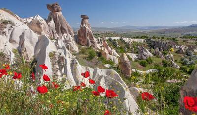 Cultural Triangle of Turkey - 8 days — 4