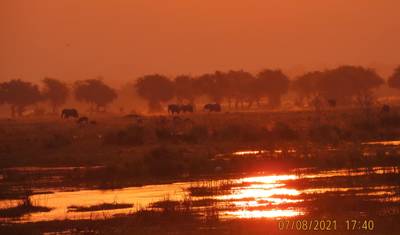 Victoria Falls & Hwange, 6 Days Safari Experience — 2