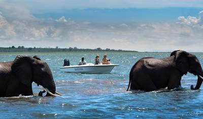 8 days Ultimate Victoria Falls, Chobe national park & Hwange — 3