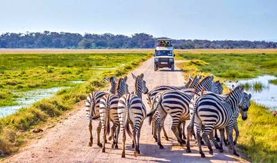 Tailor-Made 12 Days Best Zimbabwe Safari Tour, Daily Start & Private Driver Guide — 4