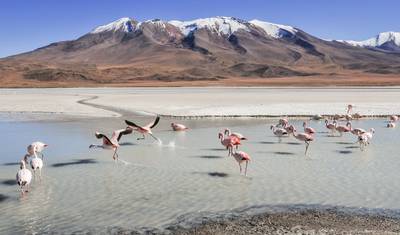 Aventura na Bolívia – 6 Dias La Paz Salar de Uyuni Pulacayo Tomave — 3