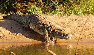 Cidade do Cabo, Kruger e Cataratas Vitória (Alojamento de luxo) — 5