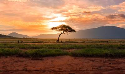 Kenya Private Safari with Amboseli National Park — 2