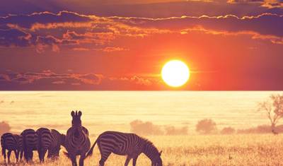 Camping Safari 4 Days / 3 Nights Safari Tanzania Northern (all accommodation and transport are included) — 4