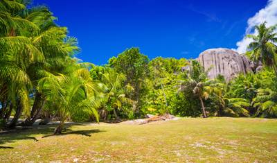 رحلة مرتفعات غوروکا – Trans Niugini Tours — 5