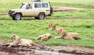 Serengeti National Park 2 Days Tanzania (all accommodation and transport are included) — 2