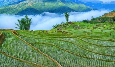 Vietnã Requintado: 11 Dias - Sapa/ Halong Bay/ Ilha de Phu Quoc — 2