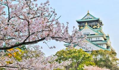 【日本】9日間 日本ゴールデンツアーパッケージ 大石公園付き — 2