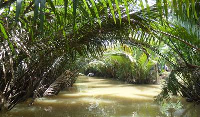 Mekong Delta Tour Full Day with Lunch — 4