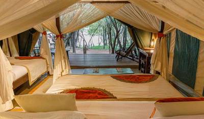 4 Days Masai Mara Bush Camp 5* Safari — 3