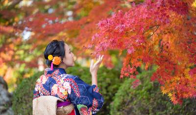 日本の秘宝を巡る個人旅行 — 3