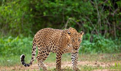 Icons of India: The Taj, Tigers & Beyond with Kathmandu — 4