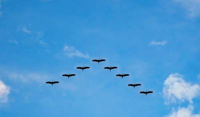 Bird Watching Tour in Sri Lanka — 5
