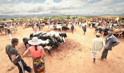 Expedição em grupo a Madagascar de 18 dias, partida em 2025 (especialmente para viajantes seniores) — 2
