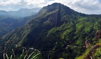 Solo Tour in Sri Lanka — 5