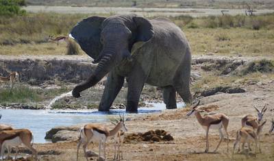 Safari po Najważniejszych Atrakcjach Namibii 15 Dni / 14 Nocy — 2