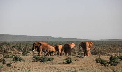 Safari po Najważniejszych Atrakcjach Namibii 15 Dni / 14 Nocy — 5