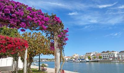 Algarve — 2