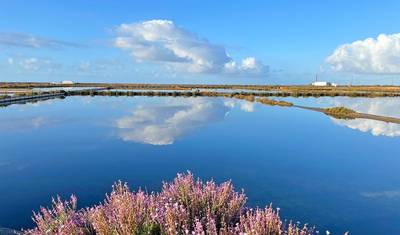 Algarve — 4