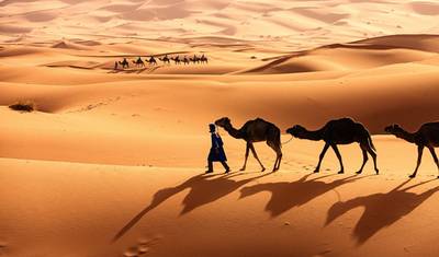صحراء إينيدي إكسبرس 9 أيام/ 8 ليالٍ (فاخرة) — 2